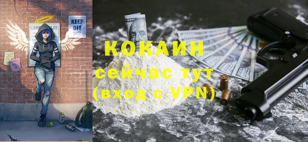 PSILOCYBIN Кодинск