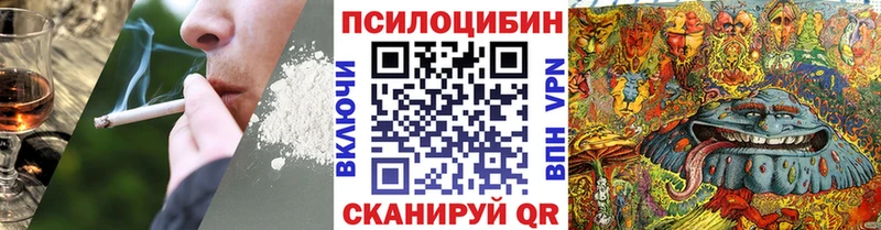 Купить закладки  Пучеж  Галлюциногенные грибы мицелий 