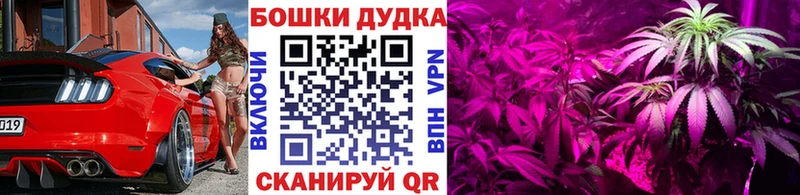 Марихуана White Widow  Купить  Пучеж 
